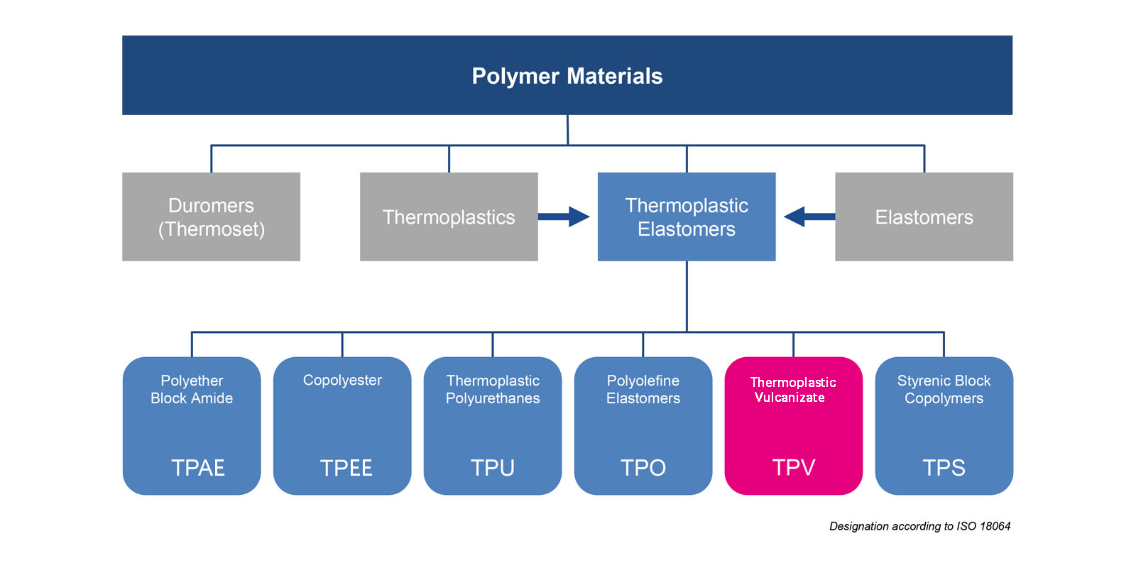 1703574738.png 8705da51bcdcc9812fd4a2ffecee3f10_tpven.png